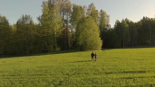Couple holding hands on meadow path on sunny day, drone flies forward