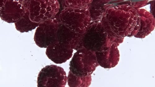Raspberries Submerged Underwater Close Up Shot