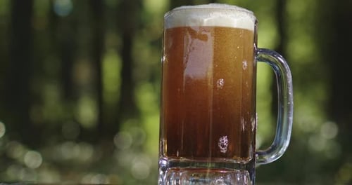 Foamy Beer in Mug with Forest Backdrop