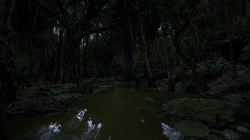 Silent Blackwater Pond Reflecting Nature During Evening Hours