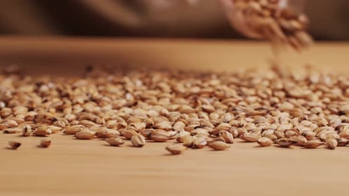 Chá seco de feijão torrado de cevada em pequeno prato sobre fundo de madeira