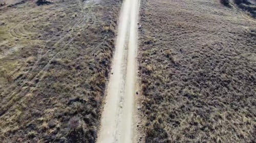 Aerial Dirt Road Between Bushes 4K