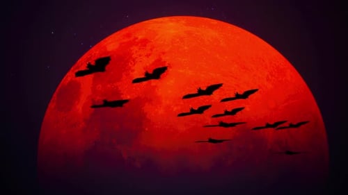 Halloween Red Moon Background with Flying Bats