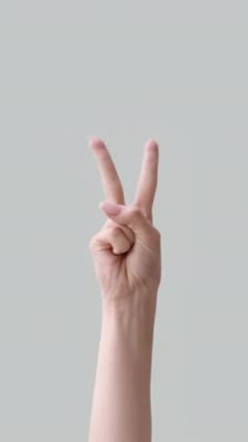 Hand Gesturing V Sign and Fist on Gray Background