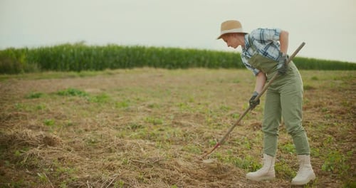 Jardinier faisant du binage dans un champ