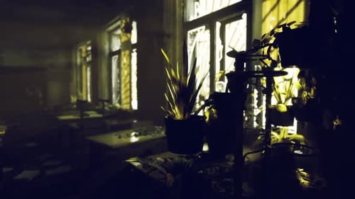 Creepy Abandoned School Hallway Highlighted By Dim Lighting and Shadows