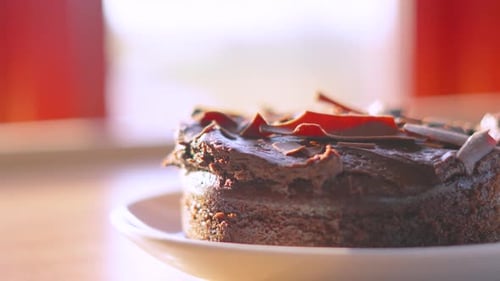 Chocolate Cake Dessert Close-up on Plate