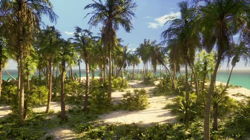 Paradise Landscape of Tropical Beach with Calm Ocean Waves and Palm Trees