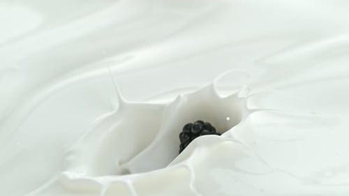 Blackberries Splashing in Creamy White Yogurt