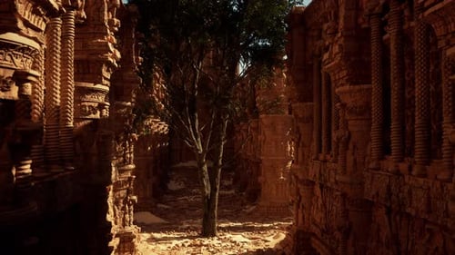 Un petit arbre pousse dans une ruelle étroite