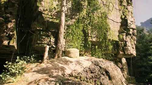 Explorez d'anciennes structures en pierre cachées dans une végétation luxuriante au Cambodge