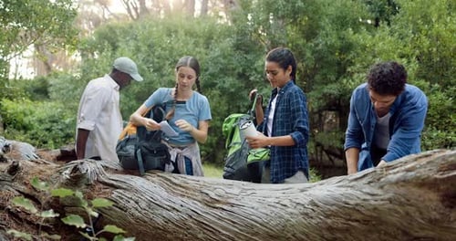Group, friends and map in forest for hiking, journey and pointing in direction