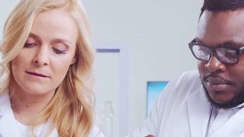 Scientists Working Together Examining Petri Dish in Lab