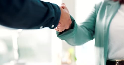 Business Handshake Close Up in Office