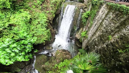 Waterfall Among Wet Green Plants