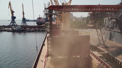 Grain Loading to Bulker Ship Cargo Container at Sea Grain Terminal in Seaport Wheat Shipment From