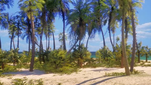 Ein tropischer Paradiesstrand mit Palmen und kristallklarem Meerwasser