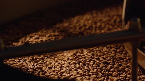 Coffee Beans Stirring in Roasting Machine