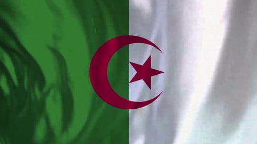 Waving Algerian National Flag Loop Background
