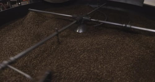 Coffee Beans Being Processed in Coffee Roaster Food Production Plant Abundance