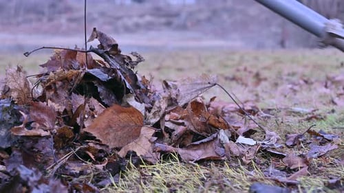 The Rustle of Fall: A Leaf-Raking Afternoon