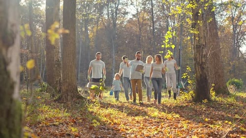 Caucasian Happy Young Males and Females Eco Activists Walking in Forest for Cleaning or Planting New