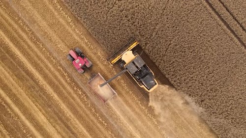 Aerial View of Combine Harvester Harvesting Wheat