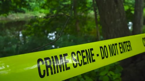 Crime Scene forensics tape in front of a forest and a lake area what is bokeh blurry in the back.