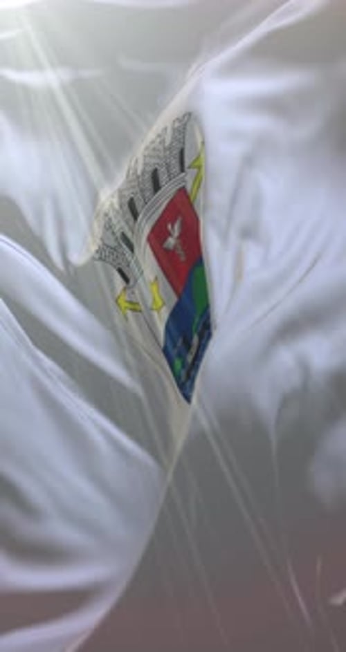 Vitoria Flag