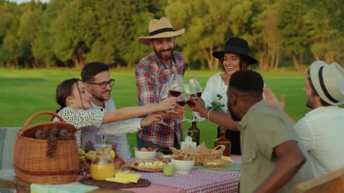 Friends Toasting at a Sunny Outdoor Picnic