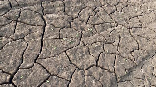 Dry cracked soil terrain during heavy drought, desertification concept, closeup