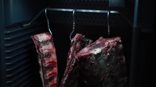 Raw Meat Hanging in a Dark Refrigerator