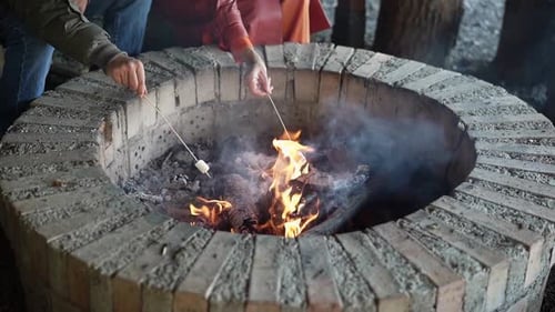 People Roasting Marshmallows Around Campfire in Nature