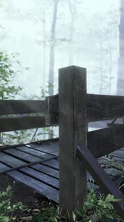 Wooden Bridge in the Forest in the Fog