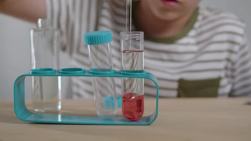 Child Scientist Conducting Science Experiment With Test Tubes