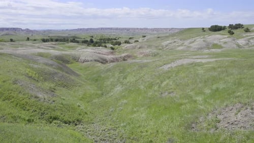 Prairie grass blowing in the wind over hills