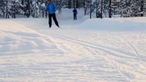 Ski Trip in the Winter Forest