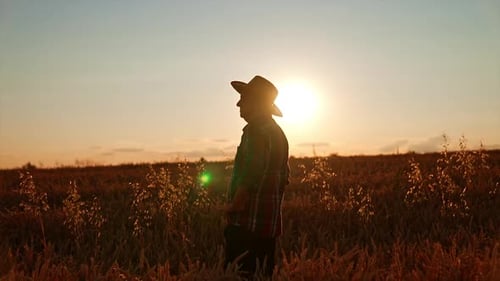 Wheat Field Farmer at Sunset