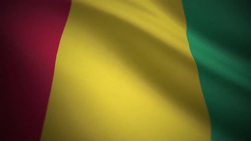 Guinea Flag Waving Animation with Realistic Fabric Texture