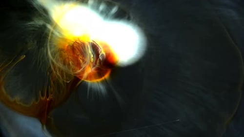 Abstract Liquid Colors Swirling Against Dark Background