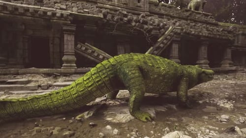 Un crocodile sauvage passe lentement devant des escaliers cassés dans un environnement naturel