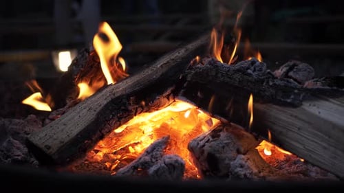 Slow Motion Campfire Flames in Woods