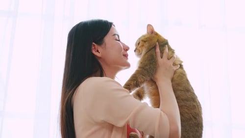 Woman Holds Brown Tabby Cat Affectionately Indoors