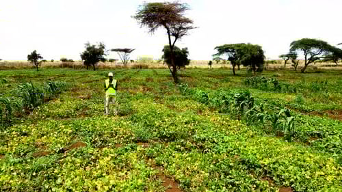 Rural agricultural farms in Kenya. Drone pilot land survey. Smart Agriculture technology.