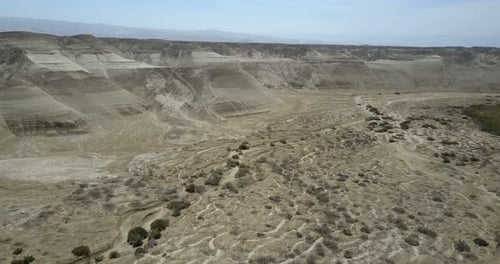 Desert flight