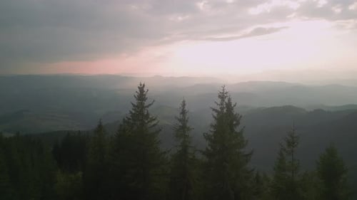Flying Over Green Forest at Cloudy Day with the Mountains on Horizon with Glowing Clouds Carpathian