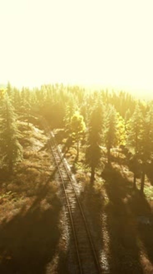 A Stunning Sunset Over a Serene Forest Landscape Viewed From Above