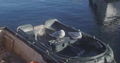 Paire de mouettes se reposant sur un petit bateau avec pagaie flottant dans la mer bleue. - gros plan