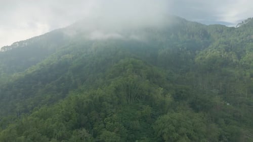 Aerial view of foggy mountain forest. Mist moving cover the treetop of rainforest. Drone shot of for