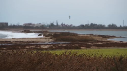 Waves Crashing on a Cloudy Beach Day